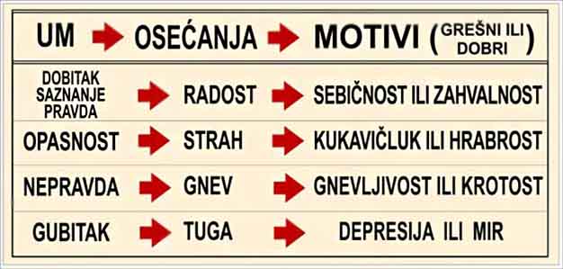stresna_reakcija.jpg